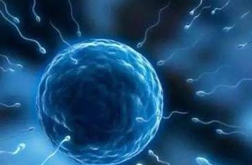 兴城市三代试管婴儿医院靠谱吗？2026年费用及成功率详解