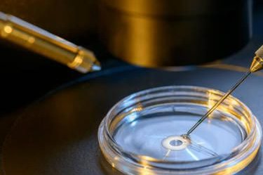 2026年重庆市7大助孕公司大对比，哪家最适合你？