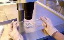 日本试管婴儿要多少钱做？