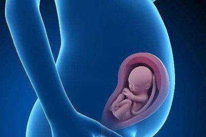 2026年未婚去焦作市妇幼做试管的全部费用要多少？